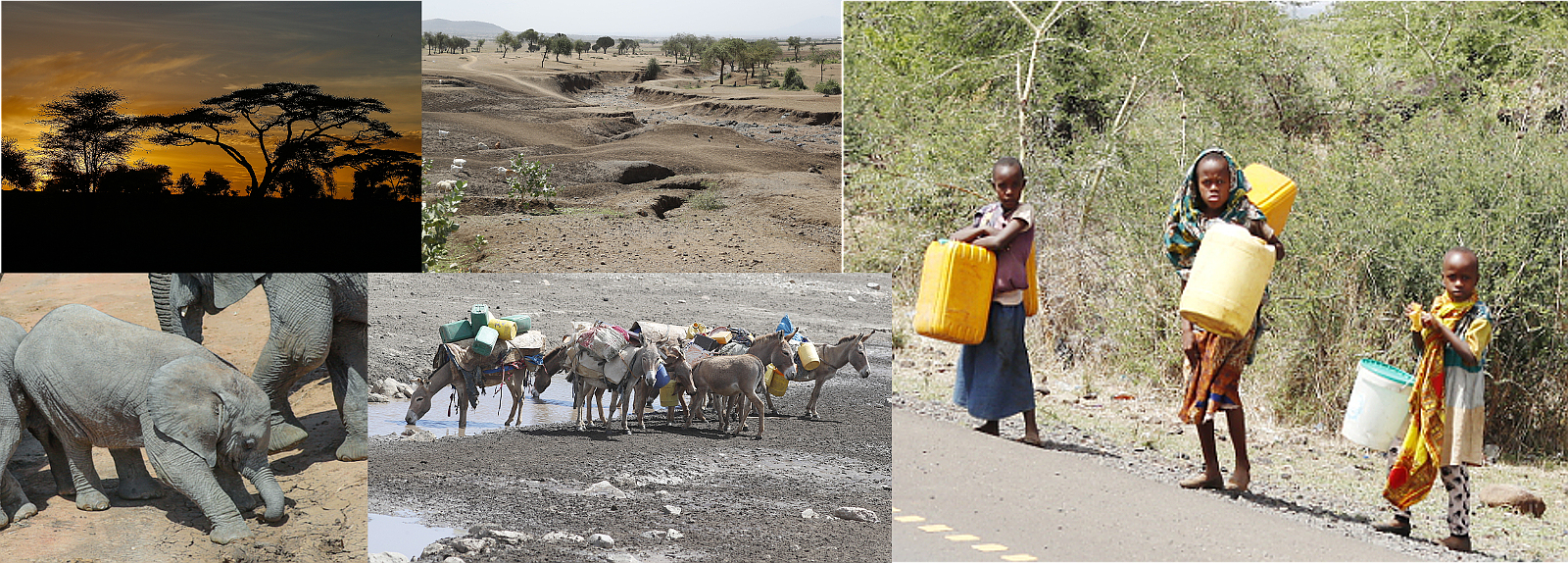 Dürre in Tansania